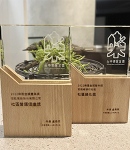 宏銓建設榮獲
樂居金獎「社區營運促進獎」與「最佳綠化獎」